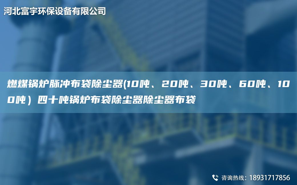 燃煤鍋爐脈沖布袋除塵器(10噸、20噸、30噸、60噸、100噸）四十噸鍋爐布袋除塵器除塵器布袋