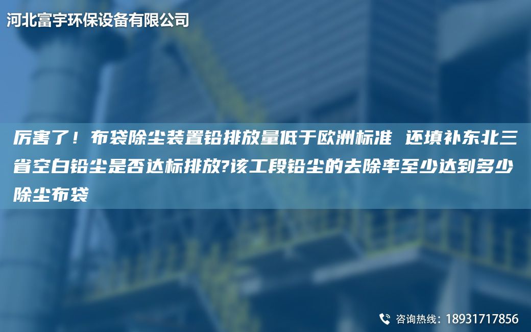 厲害了！布袋除塵裝置鉛排放量低于歐洲標準 還填補東北三省KB鉛塵是否達標排放?該工段鉛塵的去除率至少達到多少除塵布袋