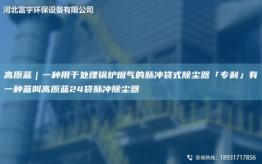 高原藍｜一種用于處理鍋爐煙氣的脈沖袋式除塵器「ZL」有一種藍叫高原藍24袋脈沖除塵器