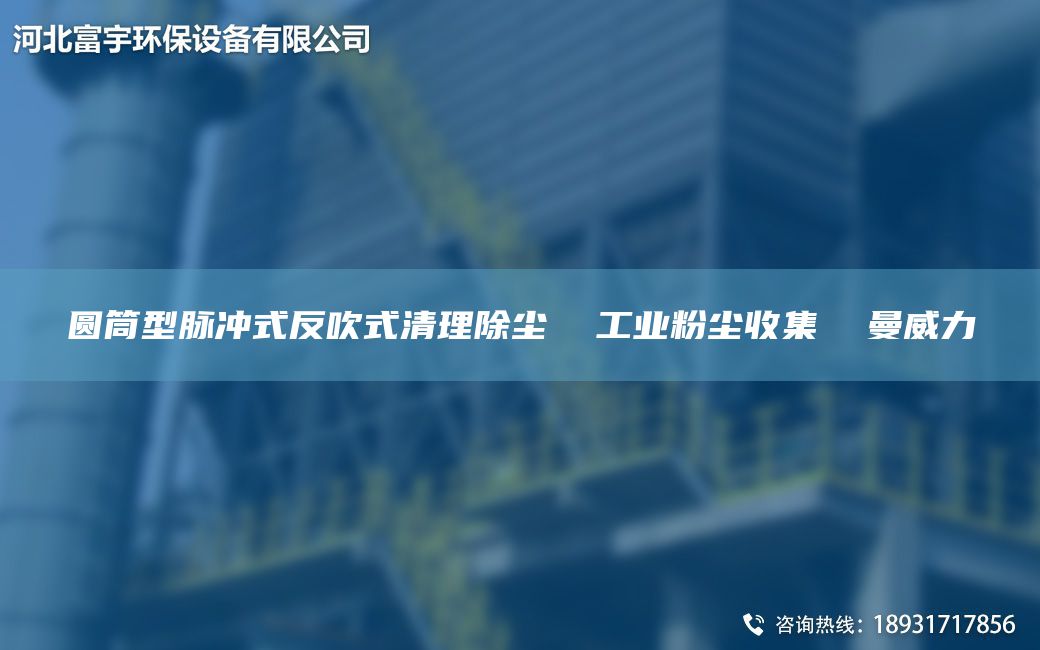 圓筒型脈沖式反吹式清理除塵  工業(yè)粉塵收集  曼威力