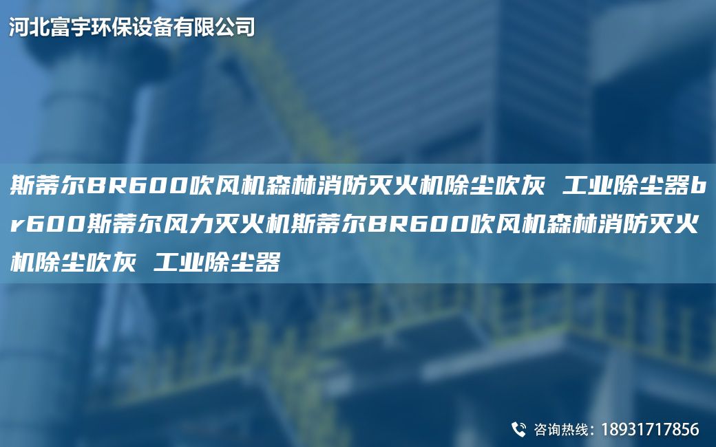 斯蒂爾BR600吹風(fēng)機森林消防滅火機除塵吹灰 工業(yè)除塵器br600斯蒂爾風(fēng)力滅火機斯蒂爾BR600吹風(fēng)機森林消防滅火機除塵吹灰 工業(yè)除塵器