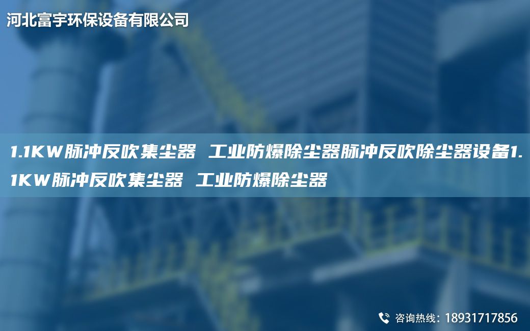 1.1KW脈沖反吹集塵器 工業(yè)防爆除塵器脈沖反吹除塵器設備1.1KW脈沖反吹集塵器 工業(yè)防爆除塵器