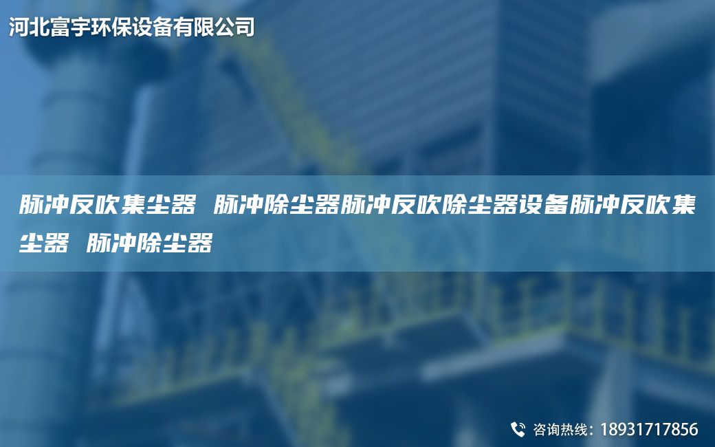 脈沖反吹集塵器 脈沖除塵器脈沖反吹除塵器設備脈沖反吹集塵器 脈沖除塵器