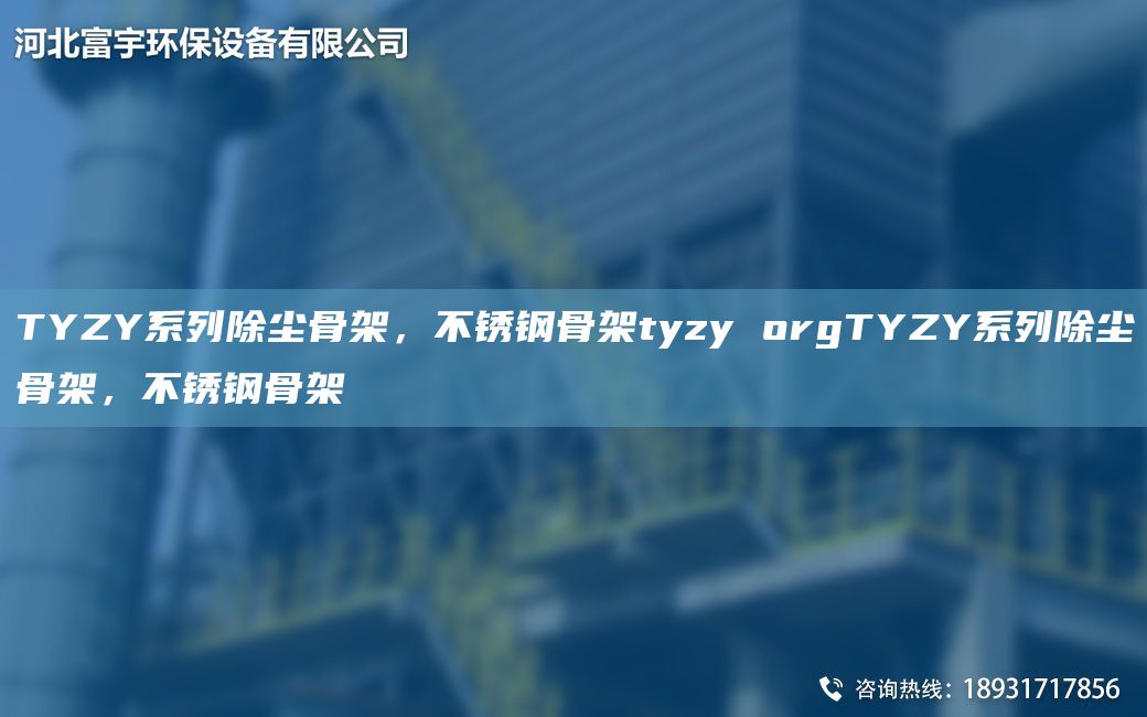 TYZY系列除塵骨架，不銹鋼骨架tyzy orgTYZY系列除塵骨架，不銹鋼骨架