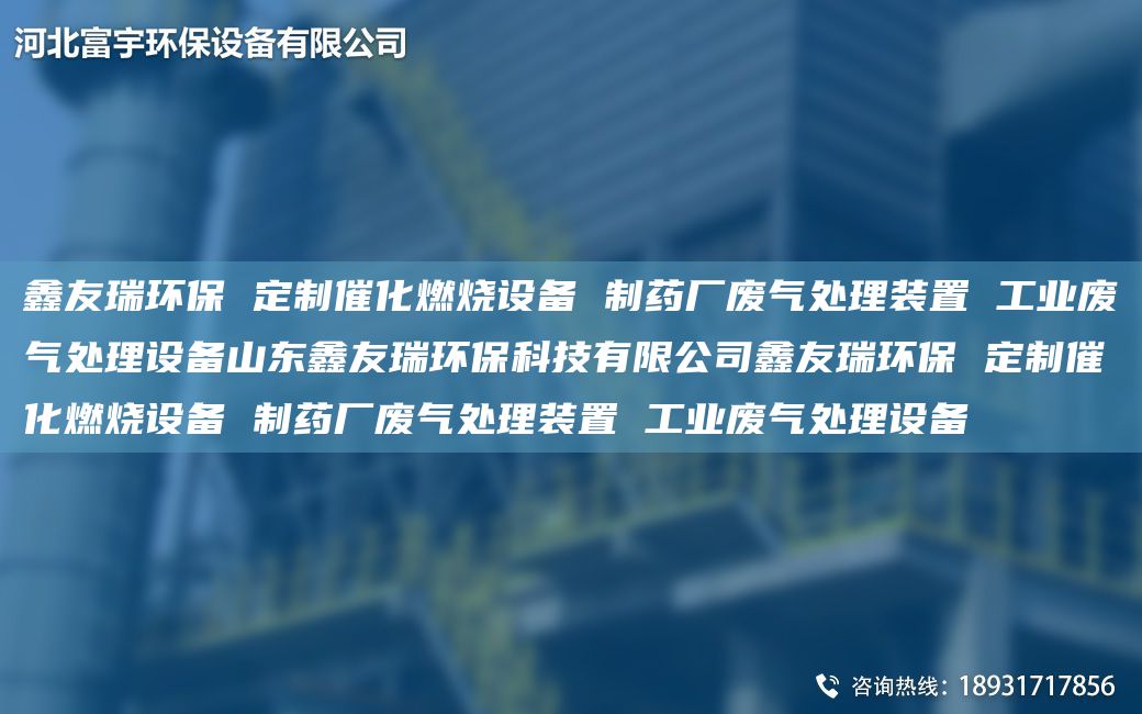 富宇環(huán)保 定制催化燃燒設備 制藥廠(chǎng)廢氣處理裝置 工業(yè)廢氣處理設備山東富宇環(huán)?？萍加邢薰靖挥瞽h(huán)保 定制催化燃燒設備 制藥廠(chǎng)廢氣處理裝置 工業(yè)廢氣處理設備