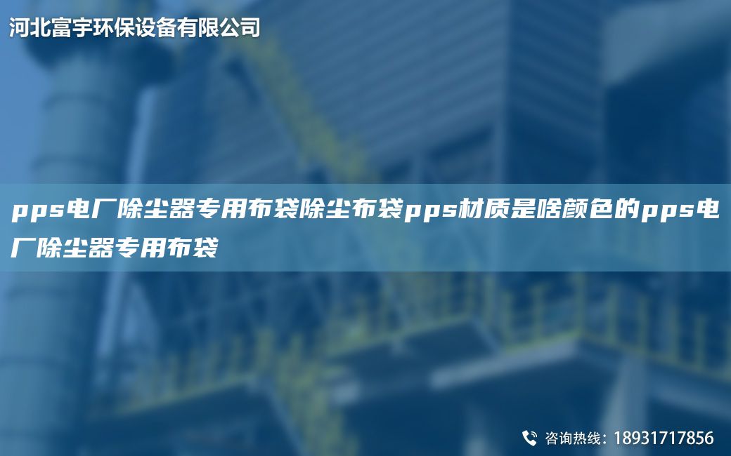 pps電廠(chǎng)除塵器專(zhuān)用布袋除塵布袋pps材質(zhì)是啥顏色的pps電廠(chǎng)除塵器專(zhuān)用布袋