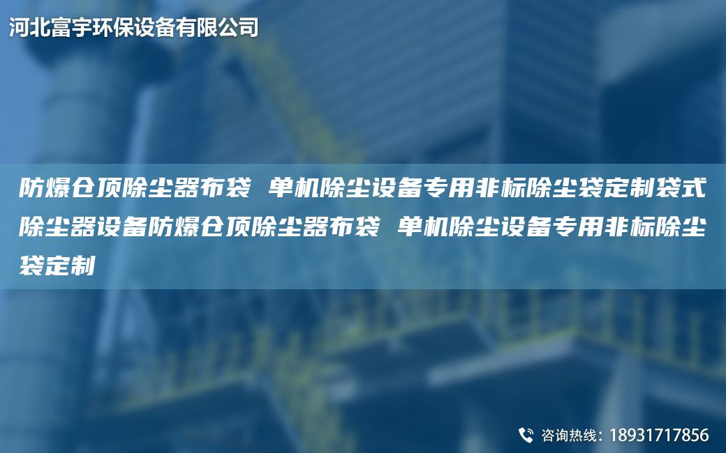 防爆倉頂除塵器布袋 單機除塵設備專(zhuān)用非標除塵袋定制袋式除塵器設備防爆倉頂除塵器布袋 單機除塵設備專(zhuān)用非標除塵袋定制