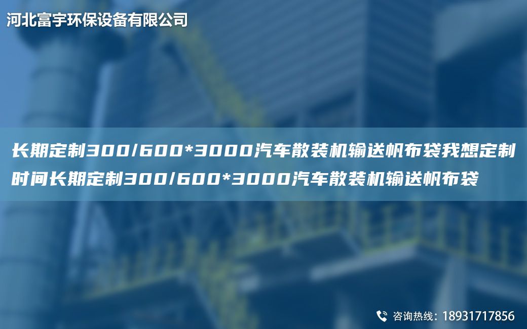 長(cháng)期定制300/600*3000汽車(chē)散裝機輸送帆布袋W想定制時(shí)間長(cháng)期定制300/600*3000汽車(chē)散裝機輸送帆布袋