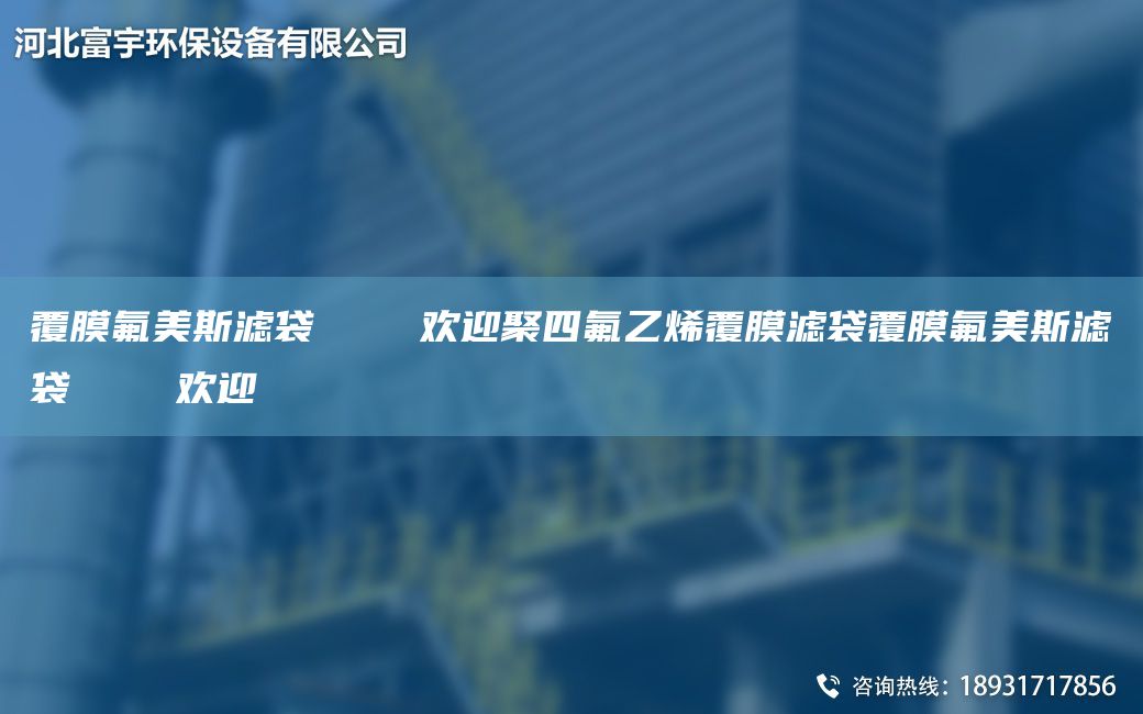 覆膜氟美斯濾袋    歡迎聚四氟乙烯覆膜濾袋覆膜氟美斯濾袋    歡迎