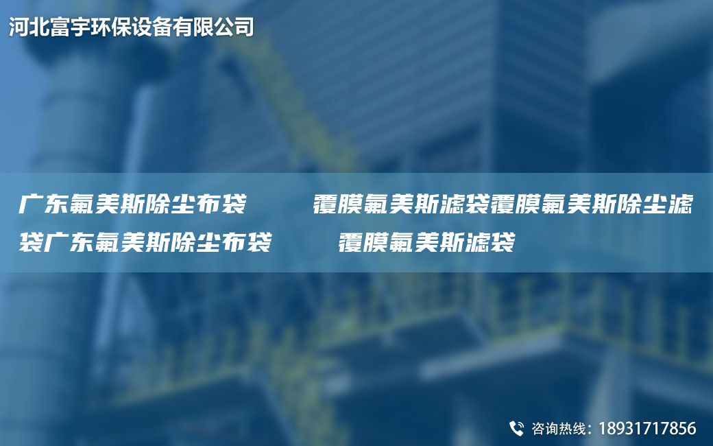 廣東氟美斯除塵布袋    覆膜氟美斯濾袋覆膜氟美斯除塵濾袋廣東氟美斯除塵布袋    覆膜氟美斯濾袋