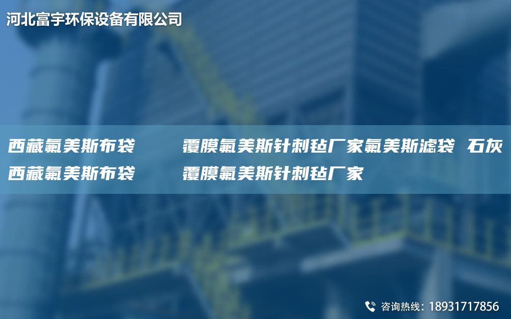 西藏氟美斯布袋    覆膜氟美斯針刺氈廠(chǎng)家氟美斯濾袋 石灰西藏氟美斯布袋    覆膜氟美斯針刺氈廠(chǎng)家