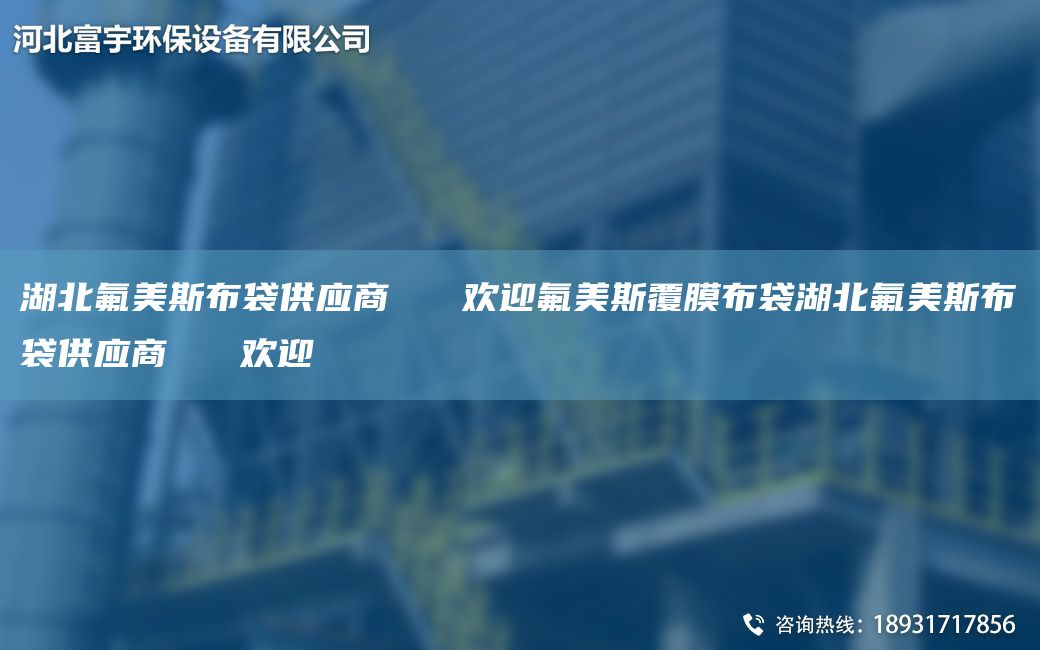 湖北氟美斯布袋供應商   歡迎氟美斯覆膜布袋湖北氟美斯布袋供應商   歡迎