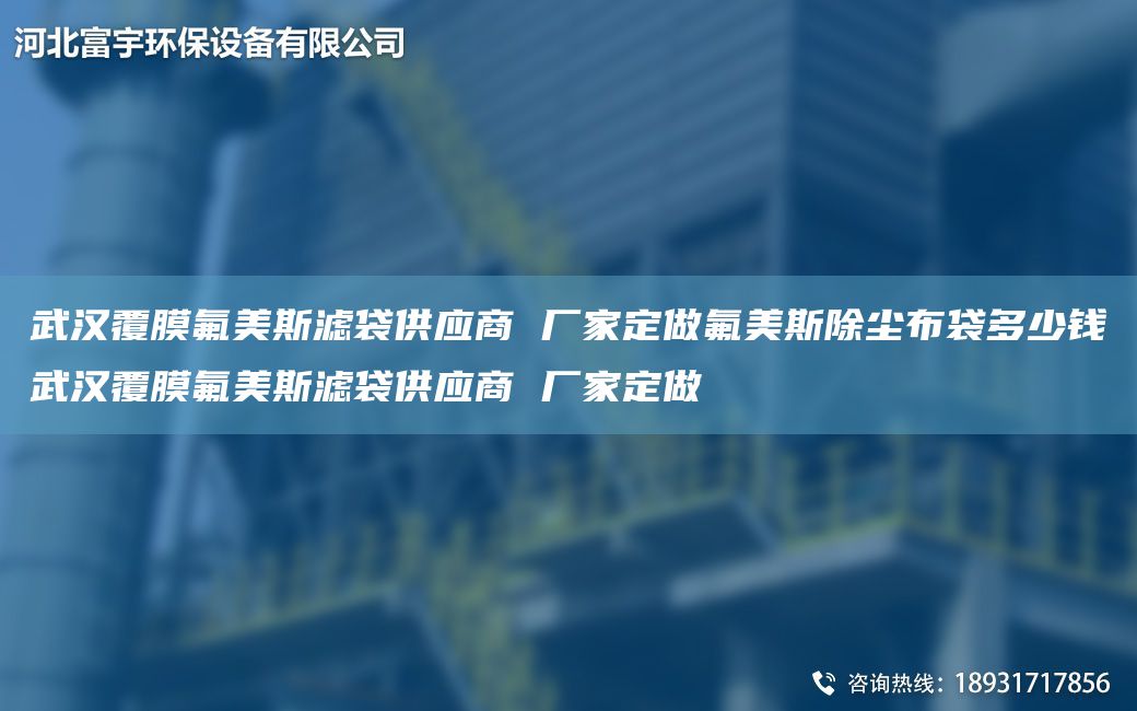 武漢覆膜氟美斯濾袋供應商 廠(chǎng)家定做氟美斯除塵布袋多少錢(qián)武漢覆膜氟美斯濾袋供應商 廠(chǎng)家定做