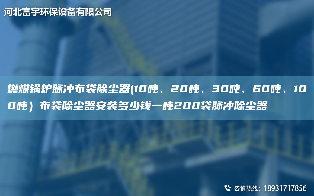 燃煤鍋爐脈沖布袋除塵器(10噸、20噸、30噸、60噸、100噸）布袋除塵器安裝多少錢(qián)一噸200袋脈沖除塵器