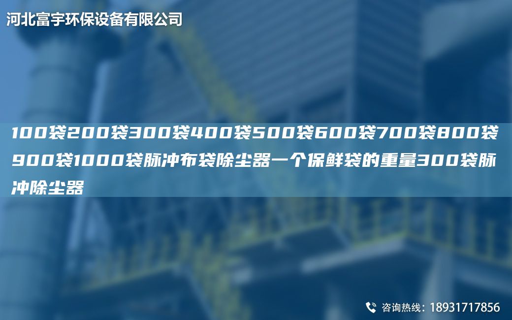 100袋200袋300袋400袋500袋600袋700袋800袋900袋1000袋脈沖布袋除塵器一個(gè)保鮮袋的重量300袋脈沖除塵器