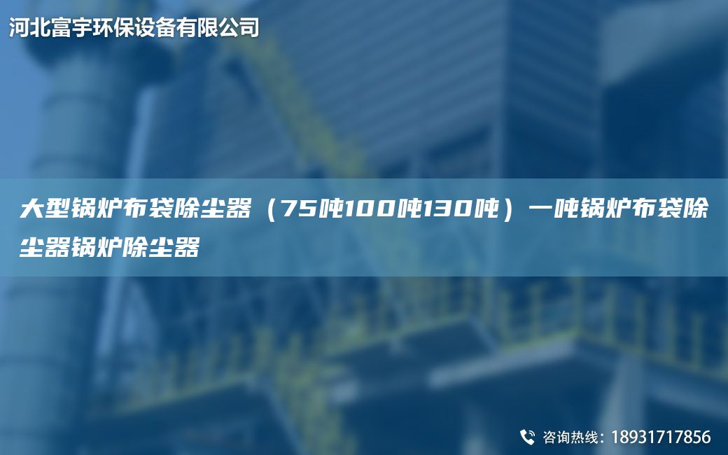 大型鍋爐布袋除塵器（75噸100噸130噸）一噸鍋爐布袋除塵器鍋爐除塵器