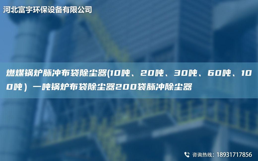 燃煤鍋爐脈沖布袋除塵器(10噸、20噸、30噸、60噸、100噸）一噸鍋爐布袋除塵器200袋脈沖除塵器