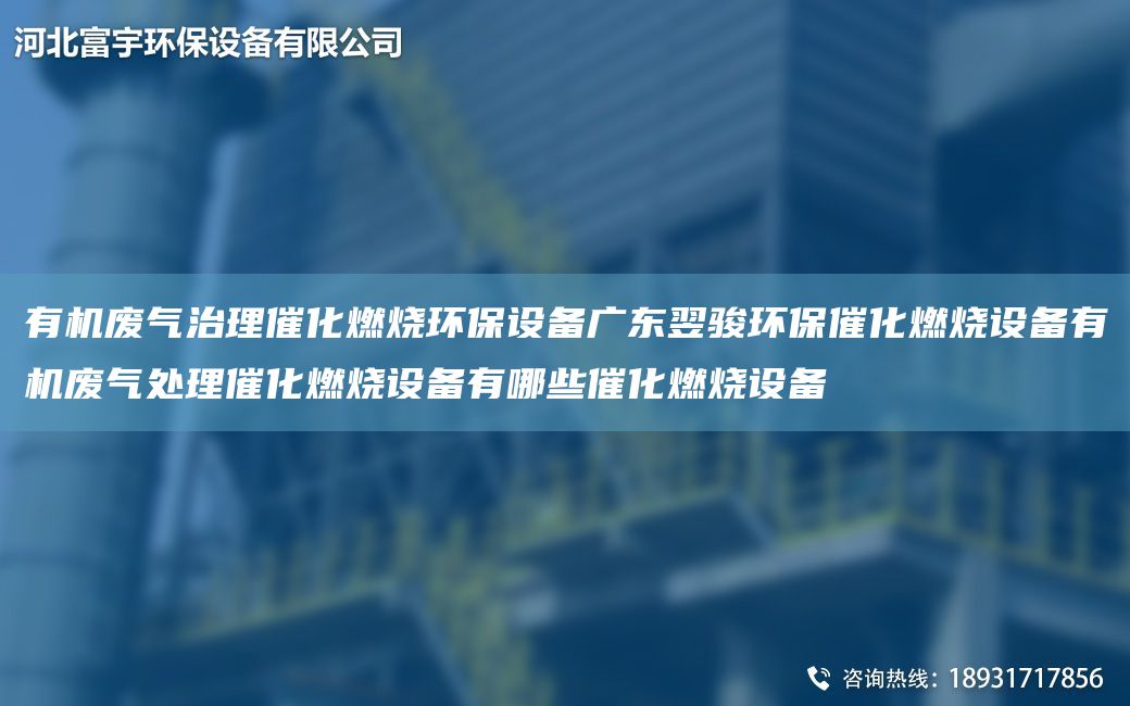 有機廢氣治理催化燃燒環(huán)保設備廣東翌駿環(huán)保催化燃燒設備有機廢氣處理催化燃燒設備有哪些催化燃燒設備