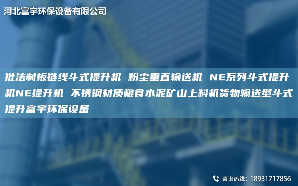 批法制板鏈線斗式提升機 粉塵垂直輸送機 NE系列斗式提升機NE提升機 不銹鋼材質(zhì)糧食水泥礦山上料機貨物輸送型斗式提升富宇環(huán)保設(shè)備