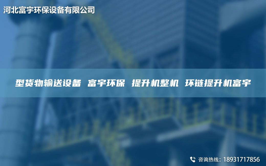 型貨物輸送設(shè)備 富宇環(huán)保 提升機整機 環(huán)鏈提升機富宇