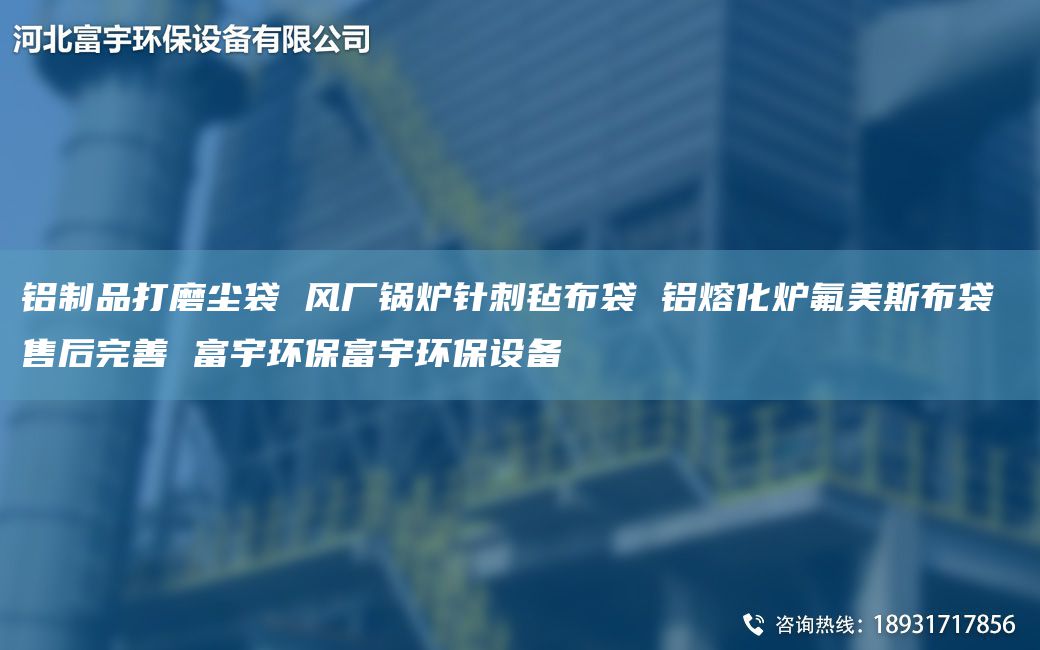 鋁制品打磨塵袋 風(fēng)廠鍋爐針刺氈布袋 鋁熔化爐氟美斯布袋 售后完善 富宇環(huán)保富宇環(huán)保設(shè)備
