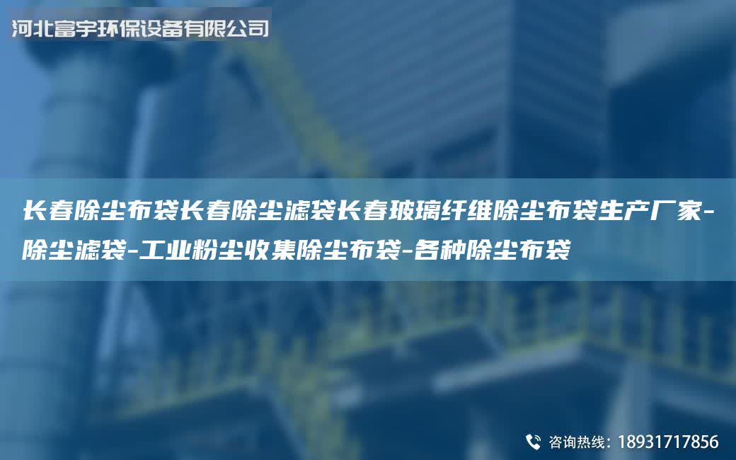 長(zhǎng)春除塵布袋長(zhǎng)春除塵濾袋長(zhǎng)春玻璃纖維除塵布袋生產(chǎn)廠家-除塵濾袋-工業(yè)粉塵收集除塵布袋-各種除塵布袋