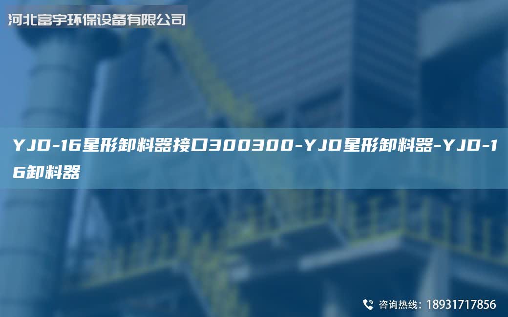 YJD-16星形卸料器接口300300-YJD星形卸料器-YJD-16卸料器