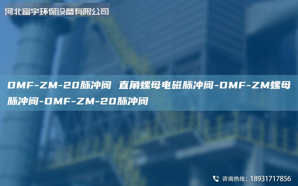 DMF-ZM-20脈沖閥 直角螺母電磁脈沖閥-DMF-ZM螺母脈沖閥-DMF-ZM-20脈沖閥