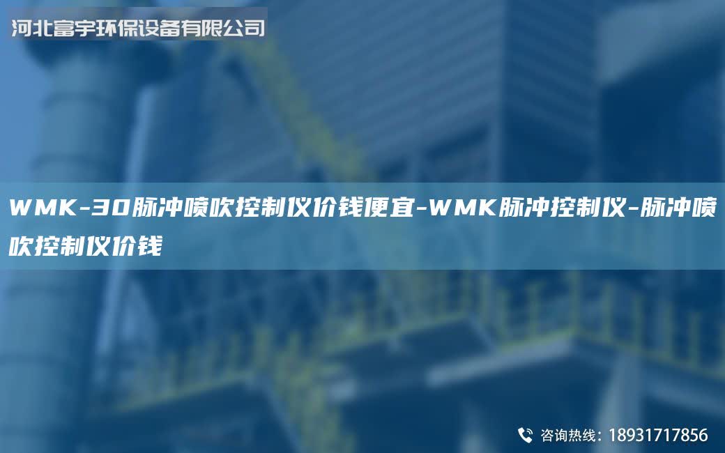 WMK-30脈沖噴吹控制儀價(jià)錢便宜-WMK脈沖控制儀-脈沖噴吹控制儀價(jià)錢