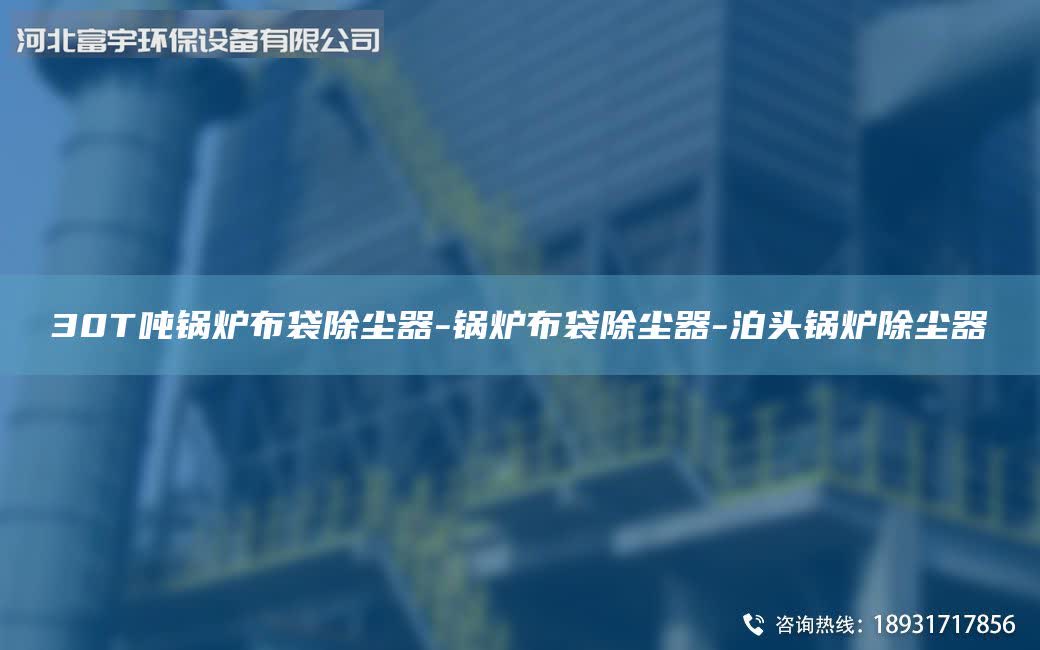 30T噸鍋爐布袋除塵器-鍋爐布袋除塵器-泊頭鍋爐除塵器