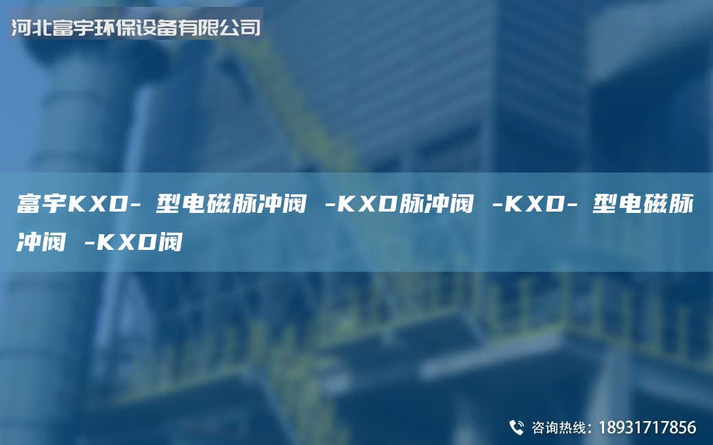 富宇KXD-Ⅱ型電磁脈沖閥 -KXD脈沖閥 -KXD-Ⅱ型電磁脈沖閥 -KXD閥
