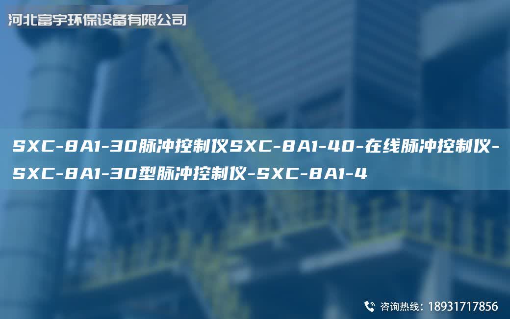 SXC-8A1-30脈沖控制儀SXC-8A1-40-在線脈沖控制儀-SXC-8A1-30型脈沖控制儀-SXC-8A1-4