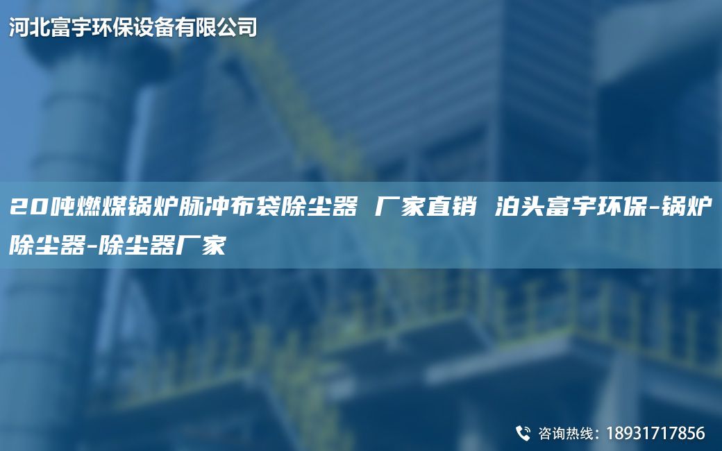 20噸燃煤鍋爐脈沖布袋除塵器 廠家直銷 泊頭富宇環(huán)保-鍋爐除塵器-除塵器廠家