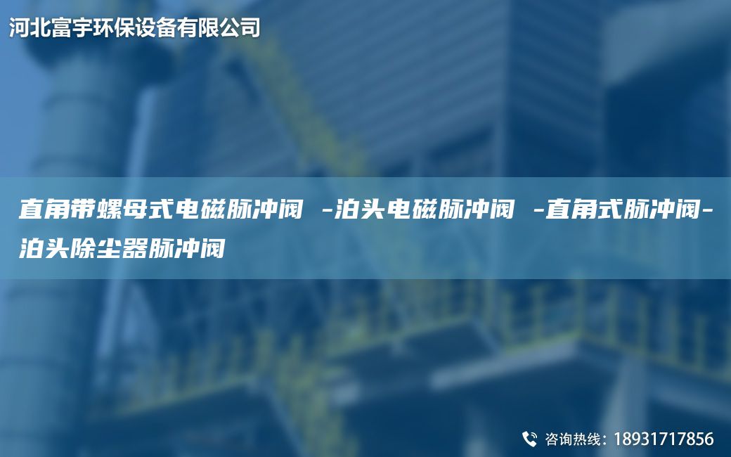 直角帶螺母式電磁脈沖閥 -泊頭電磁脈沖閥 -直角式脈沖閥-泊頭除塵器脈沖閥