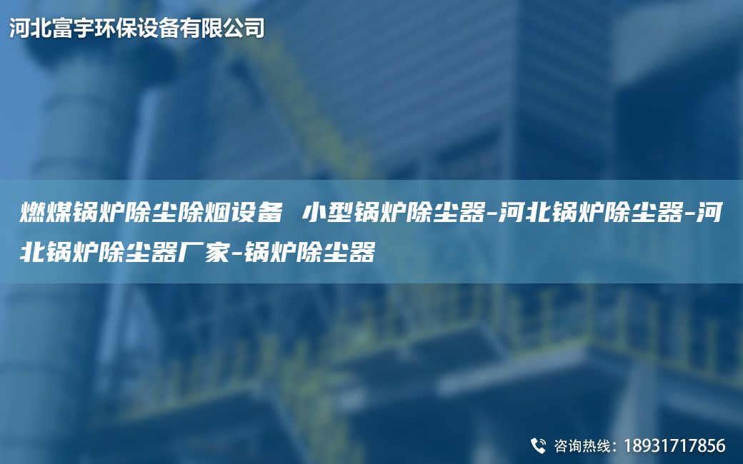 燃煤鍋爐除塵除煙設備 小型鍋爐除塵器-河北鍋爐除塵器-河北鍋爐除塵器廠家-鍋爐除塵器