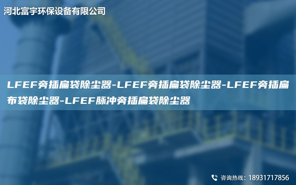 LFEF旁插扁袋除塵器-LFEF旁插扁袋除塵器-LFEF旁插扁布袋除塵器-LFEF脈沖旁插扁袋除塵器