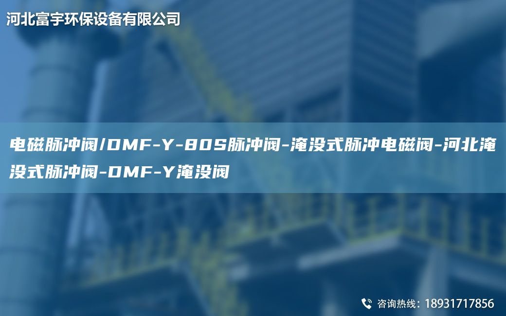 電磁脈沖閥/DMF-Y-80S脈沖閥-淹沒(méi)式脈沖電磁閥-河北淹沒(méi)式脈沖閥-DMF-Y淹沒(méi)閥