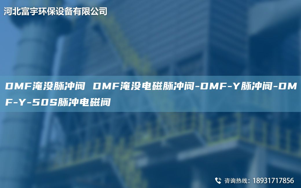 DMF淹沒脈沖閥 DMF淹沒電磁脈沖閥-DMF-Y脈沖閥-DMF-Y-50S脈沖電磁閥