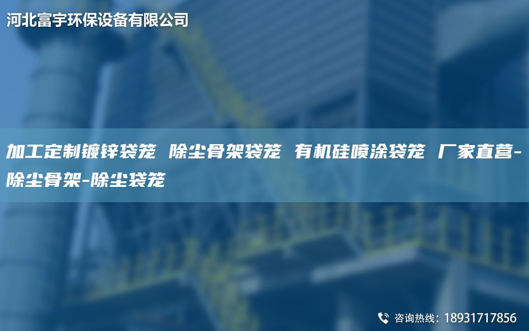 加工定制鍍鋅袋籠 除塵骨架袋籠 有機硅噴涂袋籠 廠(chǎng)家直營(yíng)-除塵骨架-除塵袋籠